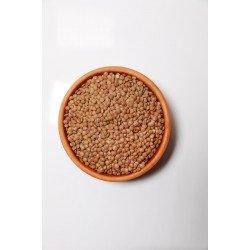 YERLİ SİYAH MERCİMEK