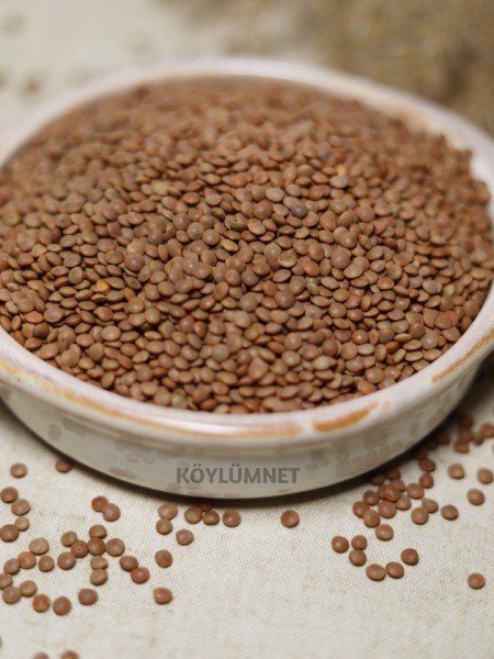 YERLİ SİYAH MERCİMEK