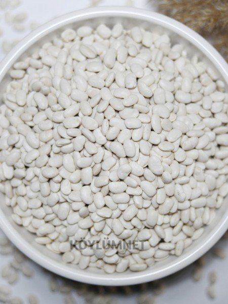 Yerli Fasulye