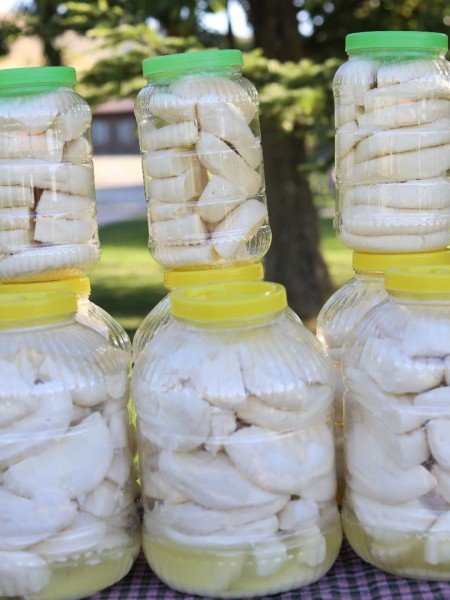 Tam Yağlı İnek Peyniri Net 3 Kg