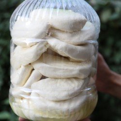 Tam Yağlı İnek Peyniri Net 3 Kg