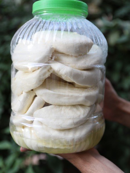 Tam Yağlı İnek Peyniri Net 3 Kg